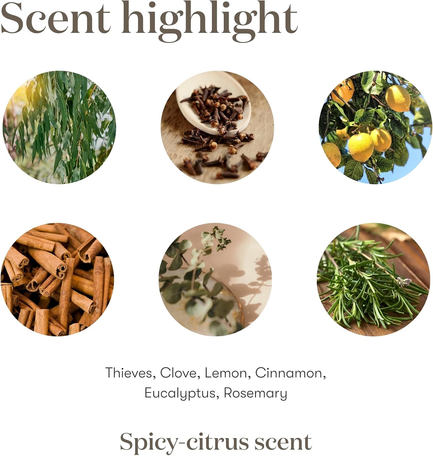 Thieves 5ml Essential Oil by Young Living Essential Oils - Image 6